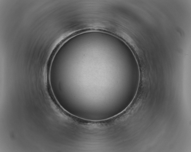 X0000113941032200909251236