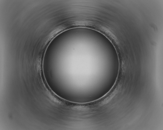 X0000113941033200909251236