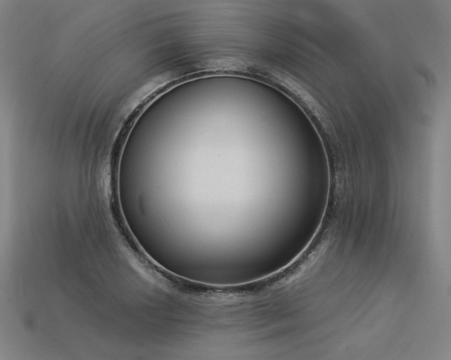 X0000113941034200909251236