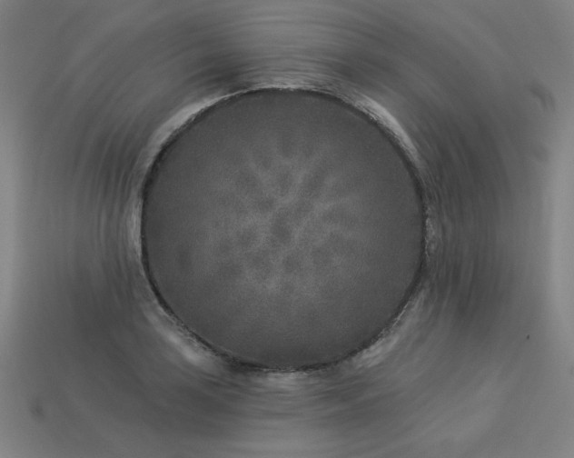 X0000113941035200909251236