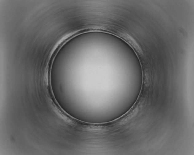 X0000113941036200909251236