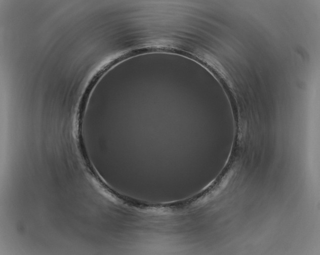 X0000113941037200909251236