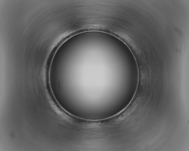 X0000113941038200909251236
