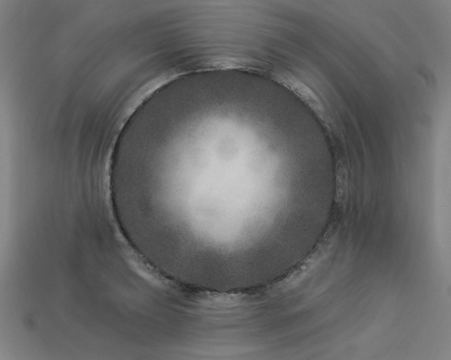 X0000113941039200909251236