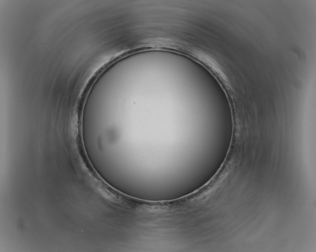 X0000113941040200909251236