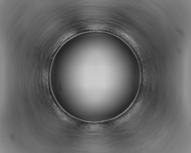X0000113941041200909251236