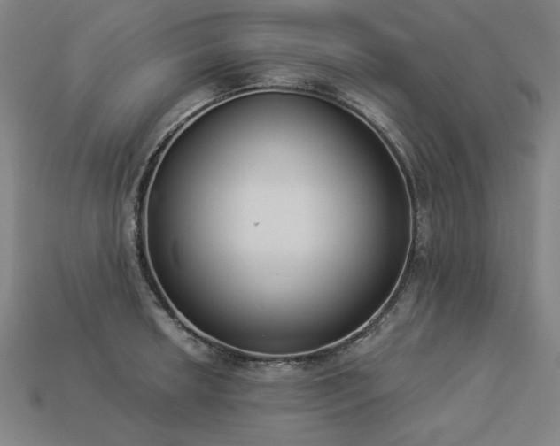 X0000113941042200909251236