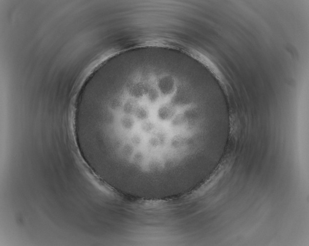 X0000113941043200909251236