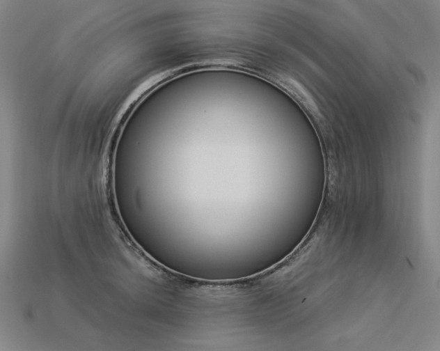 X0000113941044200909251236