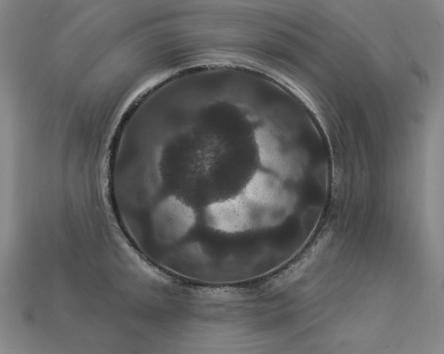 X0000113941045200909251236