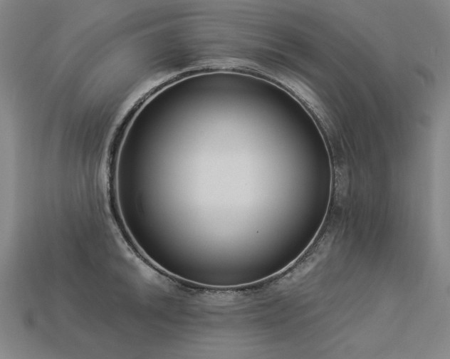 X0000113941046200909251236