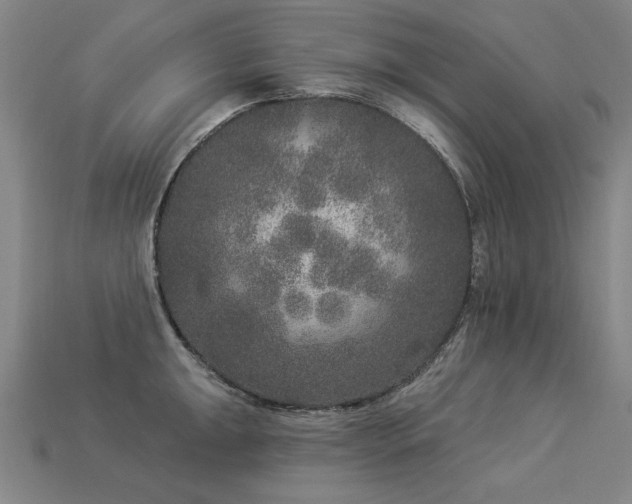 X0000113941047200909251236