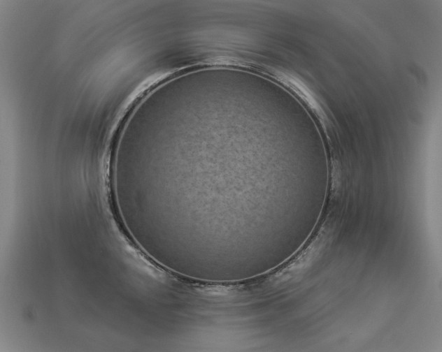 X0000113941048200909251236