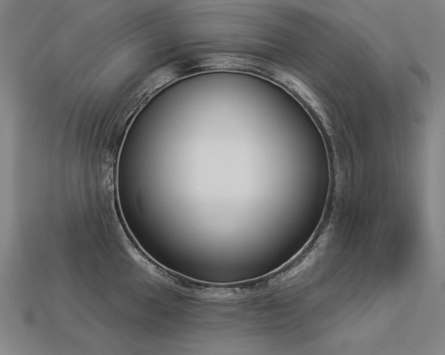 X0000113941049200909251236