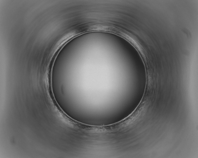 X0000113941050200909251236