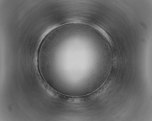 X0000113941051200909251236