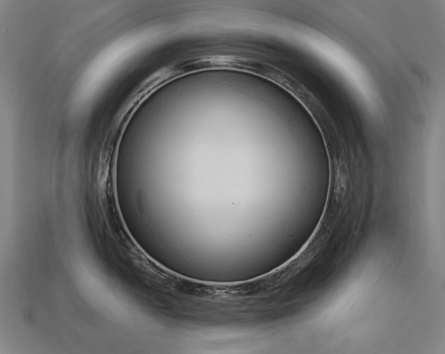 X0000113941052200909251236