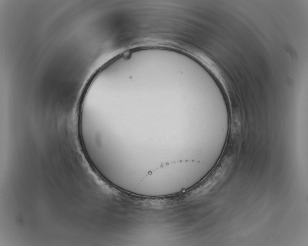 X0000113941053200909251236