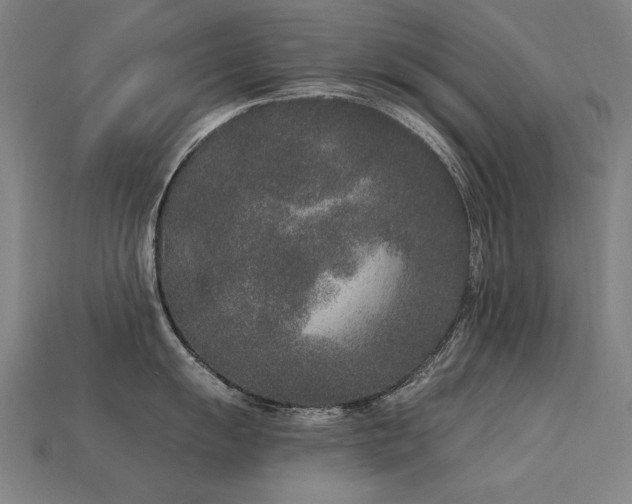 X0000113941055200909251236