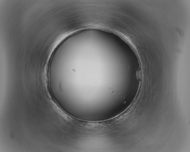 X0000113941056200909251236