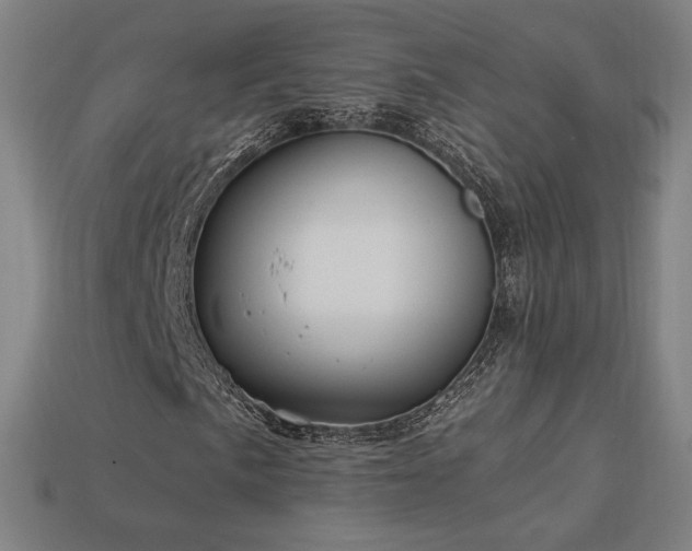 X0000113941057200909251236