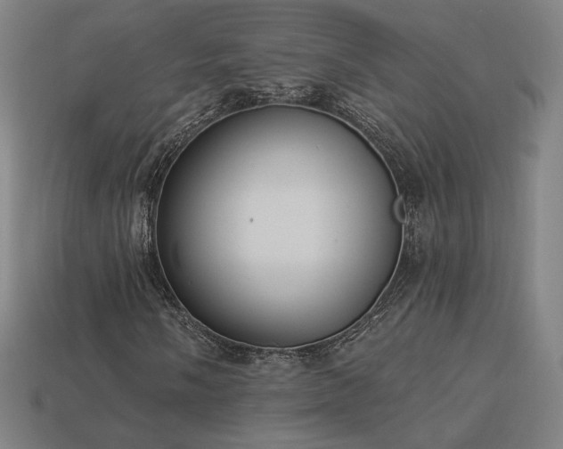X0000113941058200909251236