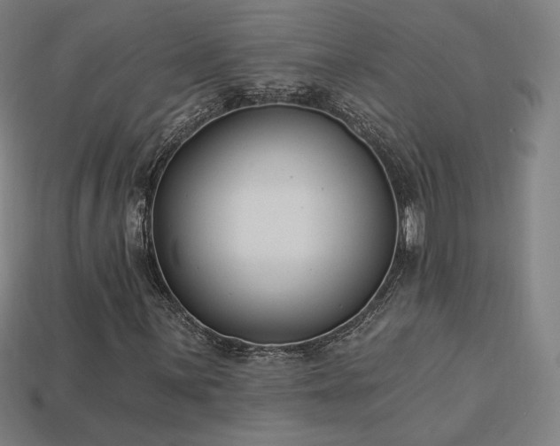 X0000113941059200909251236