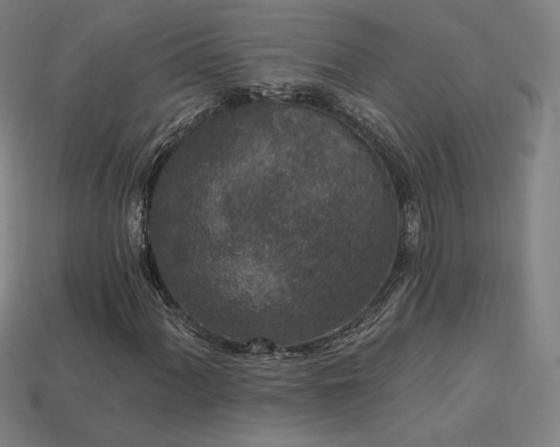 X0000113941060200909251236
