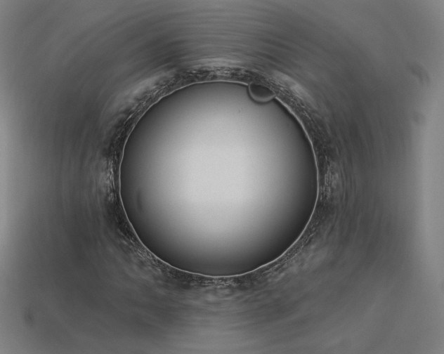 X0000113941062200909251236