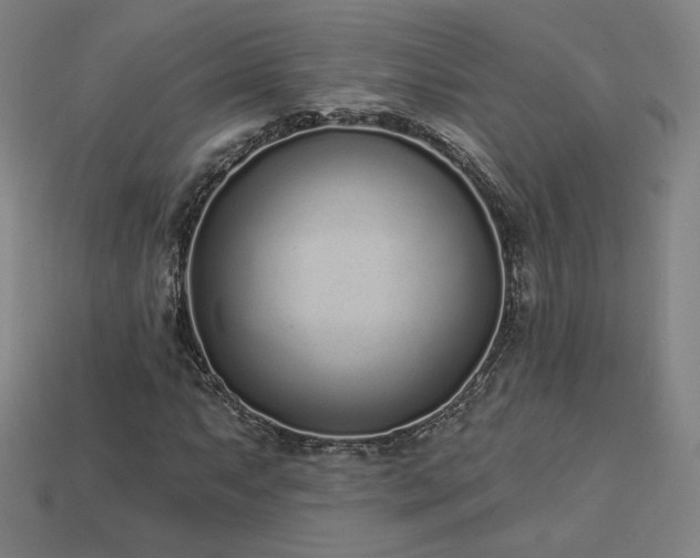X0000113941063200909251236