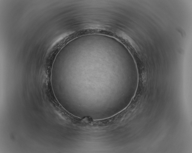 X0000113941064200909251236