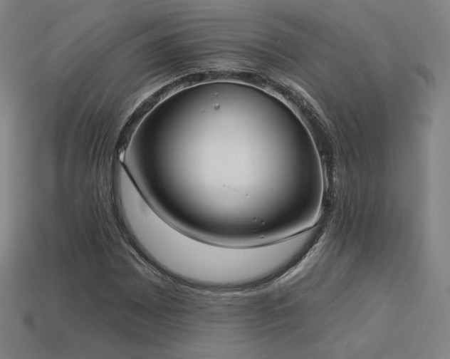 X0000113941065200909251236