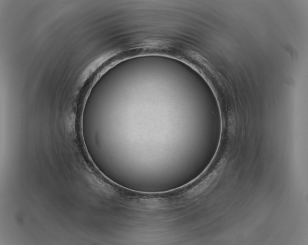 X0000113941066200909251236