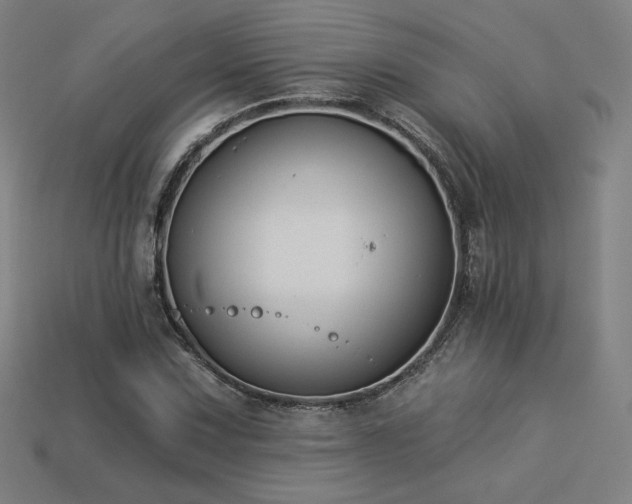 X0000113941067200909251235