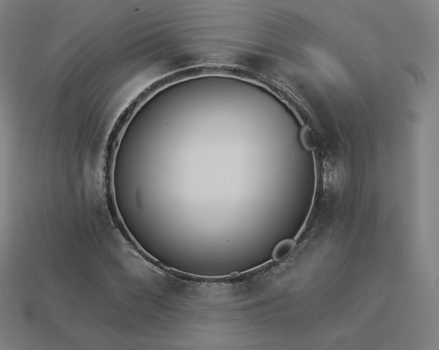 X0000113941068200909251235