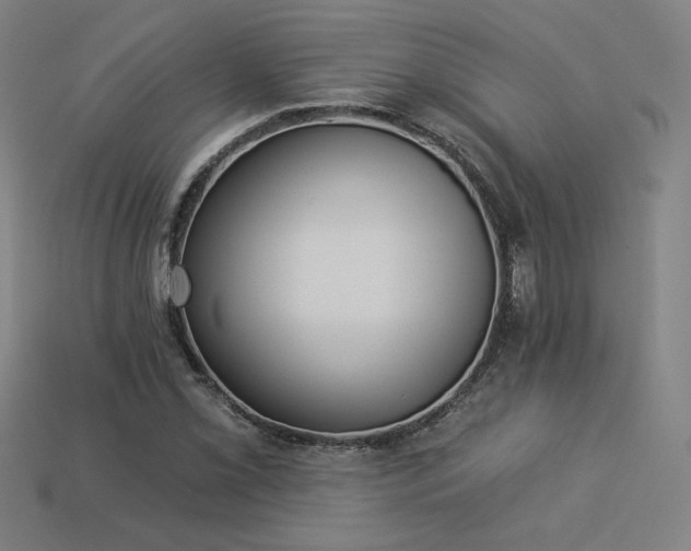 X0000113941069200909251235