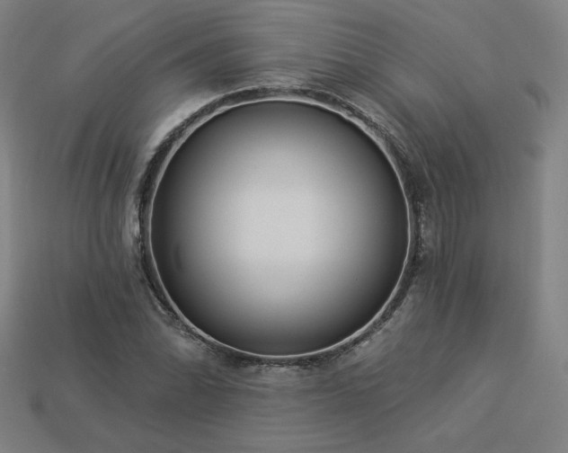 X0000113941070200909251235