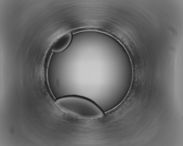 X0000113941072200909251235