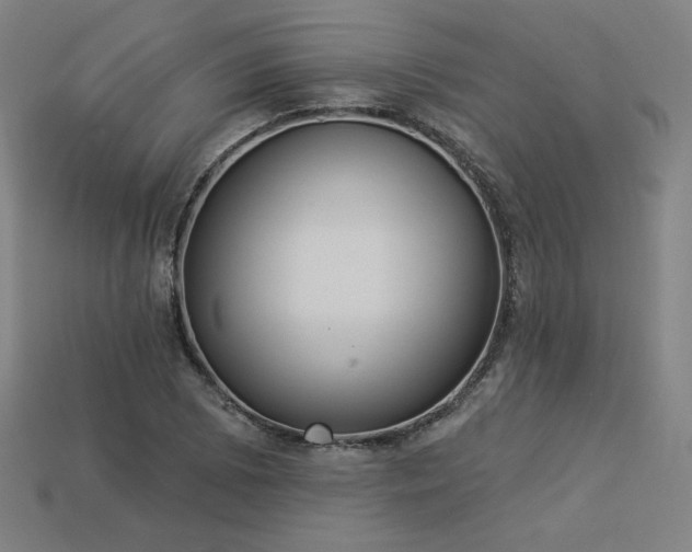 X0000113941073200909251235