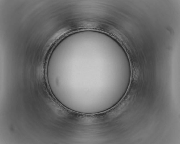 X0000113941074200909251235