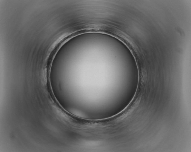 X0000113941075200909251235