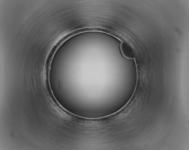 X0000113941076200909251235