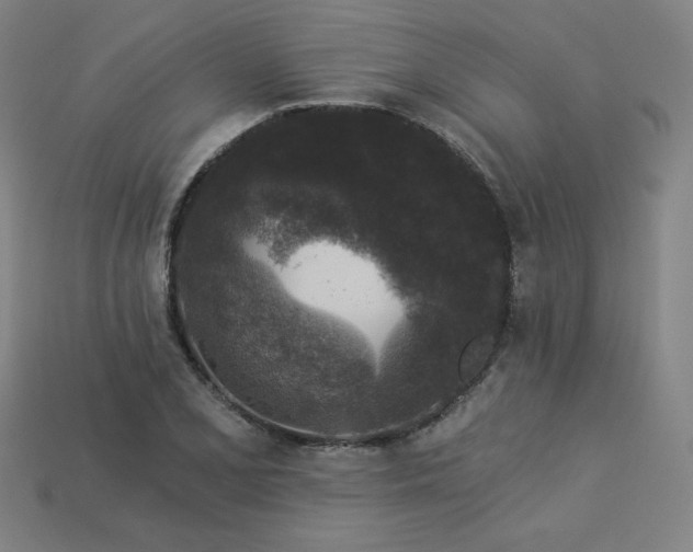 X0000113941077200909251235