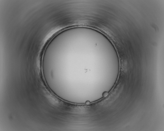 X0000113941078200909251235