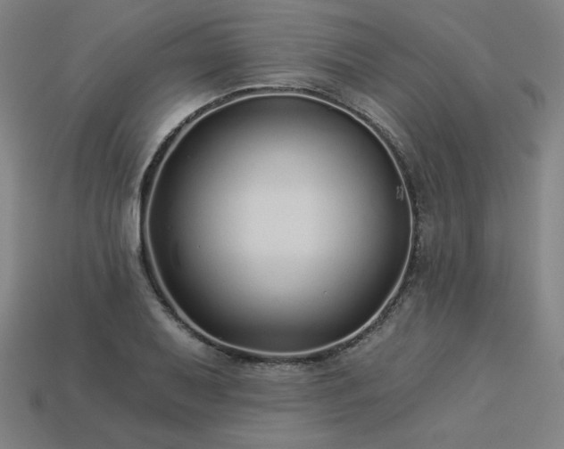 X0000113941079200909251235