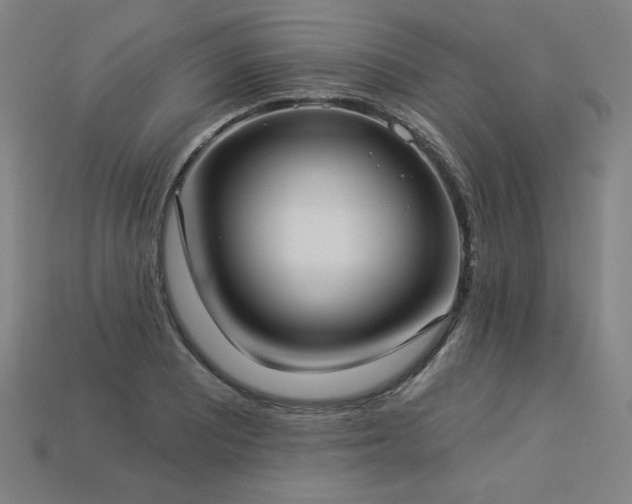 X0000113941081200909251235