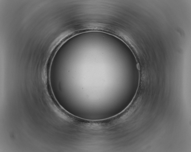 X0000113941082200909251235