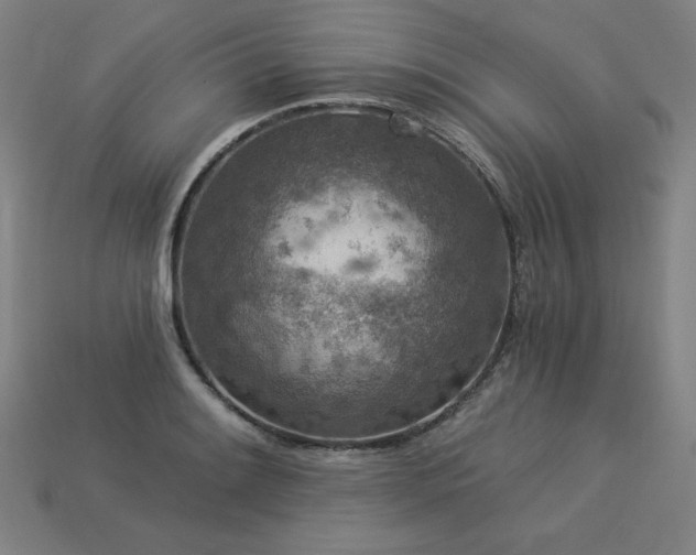 X0000113941084200909251235