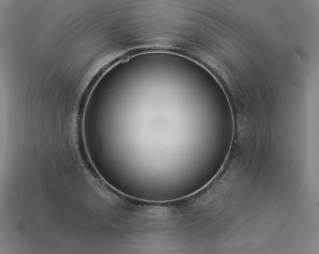 X0000113941085200909251235