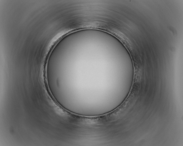 X0000113941086200909251235
